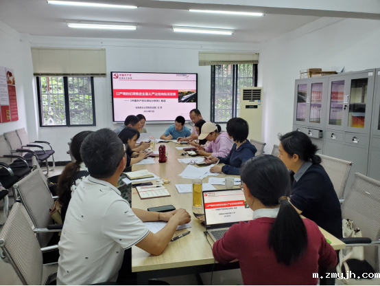 以严明的纪律推进全面从严治党向纵深发展——王芳为支部党员讲专题党课